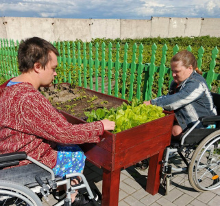 «Огород на ладошке»
