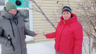 «Покормите птиц зимой»