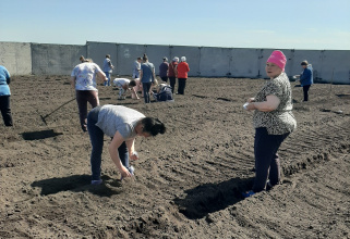 «Огородная пора»